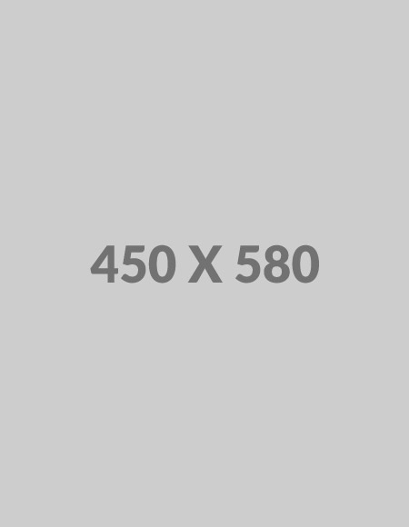 450x580